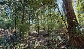 Tbd Williams, Brookhaven, MS 39601