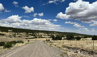 Lot 49 Windsor Valley Ranch, Concho, AZ 85924