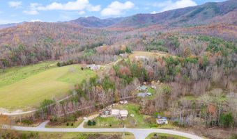 6840 Greystone Rd, Afton, TN 37616