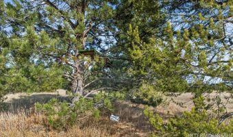 10201 Packsaddle Rd, Cascade, ID 83611