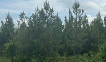 0 Salco Rd, Axis, AL 36505