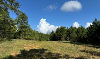 SW Auburn Drive, Bogue Chitto, MS 39629