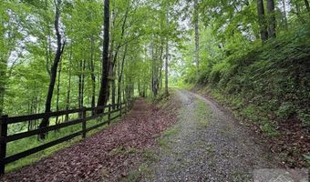 88 Angus Rd, Anawalt, WV 24808