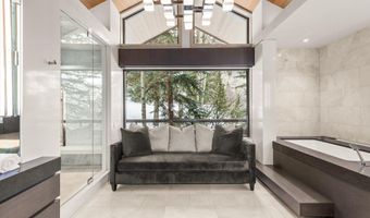 730 S Galena St, Aspen, CO 81611