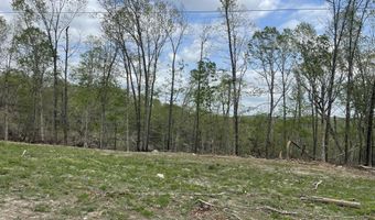St. Hwy N Tract D, Ava, MO 65608