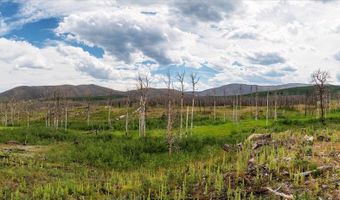 529 Quartz Rd, Bellvue, CO 80512