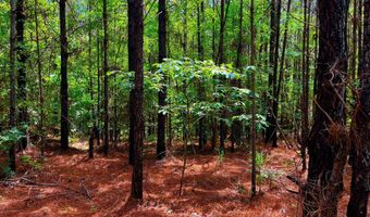 Arthur Drive, Brookhaven, MS 39601