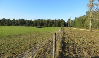 9714 NW 236TH Ter, Alachua, FL 32615
