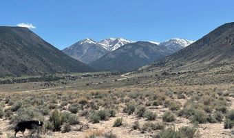 1330 WILD HORSE RUN, Dyer, NV 89010