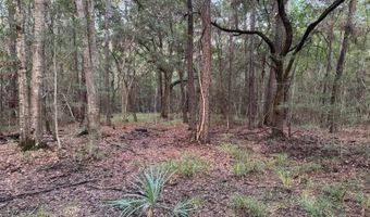 Lower Bay Road, Bay St. Louis, MS 39520