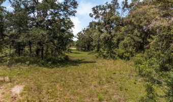 TBD 73rd Trl, Bell, FL 32619