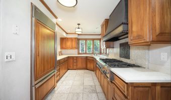 205 LARKSPUR Ln, Aspen, CO 81611