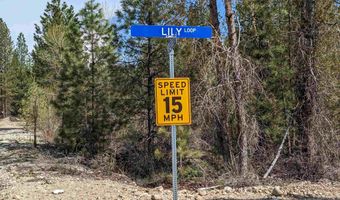 Lot 51 Lily Loop, Idaho City, ID 83631