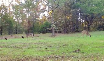 Franklin Dr, Batesville, MS 38606