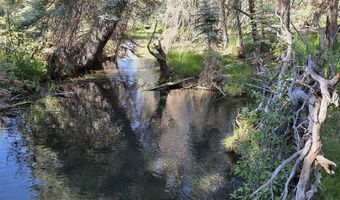 201 Golden Forest Rd, Bayfield, CO 81122