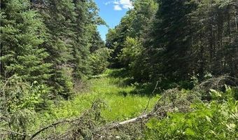 13102 Seaberg Ln, Bagley, MN 56621