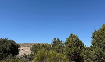 1966 Currant Ct, Gardnerville, NV 89410