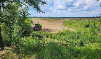 38774 S Mccarrol Rd, Amite, LA 70422