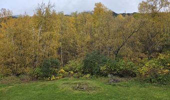 21507 Tony Cir, Chugiak, AK 99567