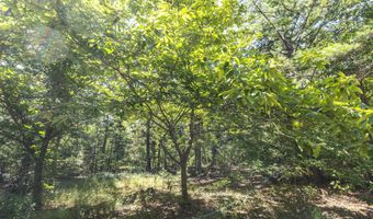 470 County Road 118, Annapolis, MO 63670