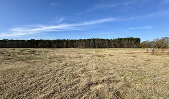 00002 Johnson Line Rd, Bolton, MS 39041