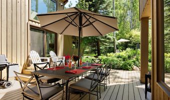 1145 Black Birch Dr, Aspen, CO 81611