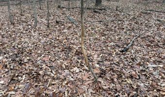 TBD1 E Willow Rd, Bloomfield, IN 47424