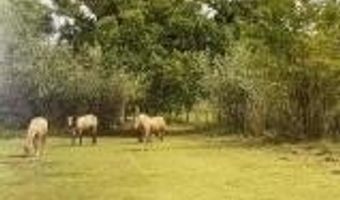 806 Gabaldon Rd, Belen, NM 87002