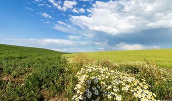 Tbd E 1400 N, Ashton, ID 83420