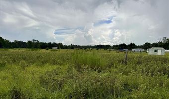 NE 96 Avenue, Archer, FL 32618