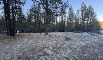 Bobcat Circle, Beatty, OR 97621