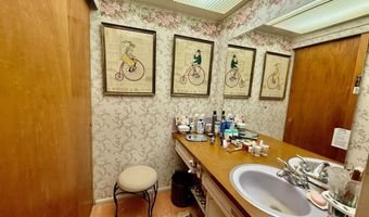 413 E Shawnee Ln, Attica, IN 47918
