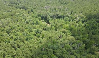 399 Wakefield Ln, Brookhaven, MS 39601