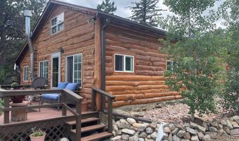 23 2nd Ave, Allenspark, CO 80510