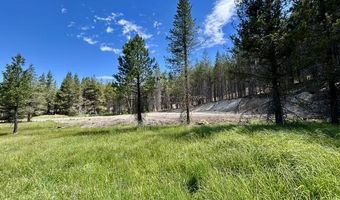 Sky Horse Drive lot 42, Cascade, ID 83611
