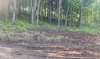 161 Porter Lk, Amasa, MI 49903
