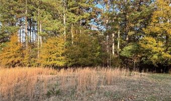 222 Norman Rd, Athens, GA 30607