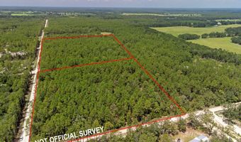 TBD 65th St, Bell, FL 32619