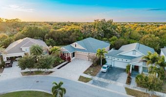 5116 COASTAL SCENE Dr, Apollo Beach, FL 33572