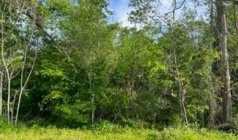 222 23rd Ave Lot L20 & 21/B233, Apalachicola, FL 32320