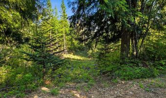 NKA Majestic Mountain Rd, Clark Fork, ID 83811
