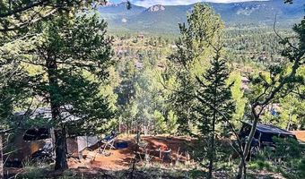 272 Wise Rd, Bailey, CO 80421