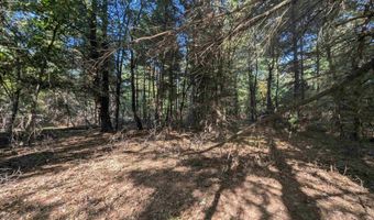 N Forest Lake Drive, Alger, MI 48610