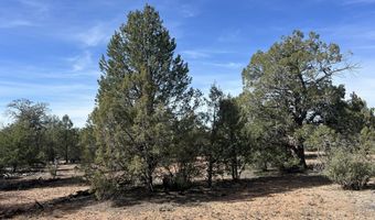 5 Deer Droppings, Ash Fork, AZ 86320