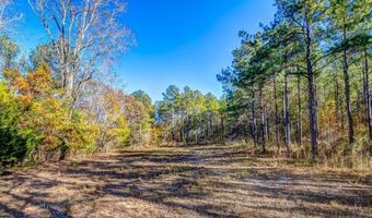 69 Highway 80 Rd, Auburn, AL 36830