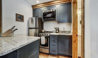 2585 COUNTY ROAD 12, Alma, CO 80420