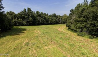 Poplar Springs Road, Atwood, TN 38220