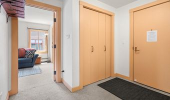 115 Boomerang Rd 5309, Aspen, CO 81611
