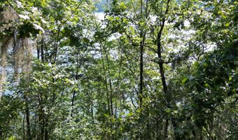 1962 Eagles Nest Rd, Camden, SC 29020