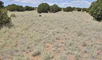 697 County Rd 9047, Concho, AZ 85924